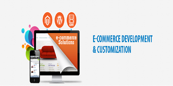 005 E-commerce Development & Customization