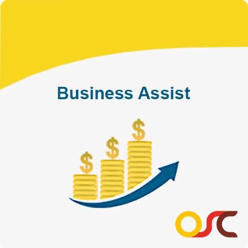 business-assist3
