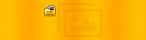 image-gallery-banner