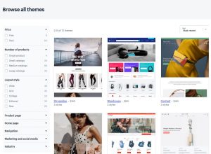 Browse-the-Theme-Store-img