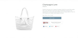 Earn-Customer-Trust4