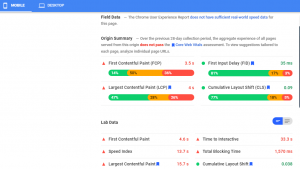 Google-PageSpeed-Insights3