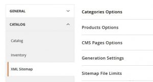 magento-score3