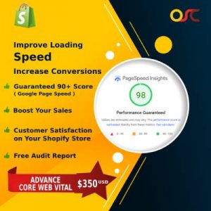 Shopify Speed Optimization