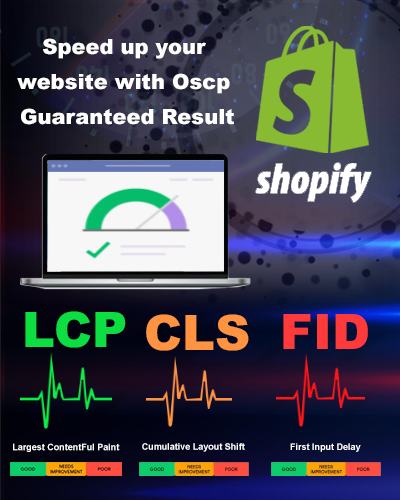shopify-Web-Vital2 shopify Web vital