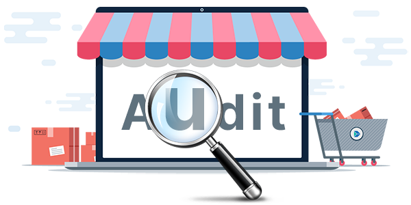 Audit-your-Online-Store