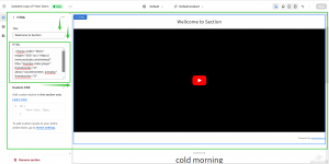 customize-your-theme