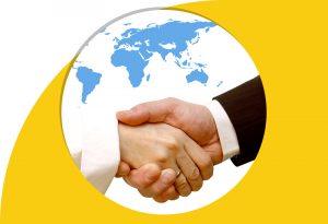 Experienced Shopify and Magento partner