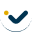 Correct-icon