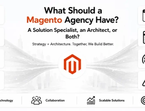 What Should a Magento Agency Have: A Solution Specialist, an Architect, or Both?